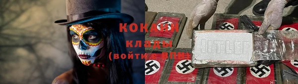 крисы Алзамай