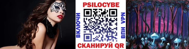 где можно купить наркотик  Краснослободск  Галлюциногенные грибы Psilocybe 